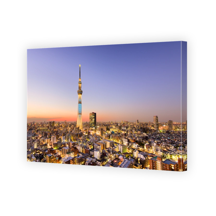 Tokyo City Skyline