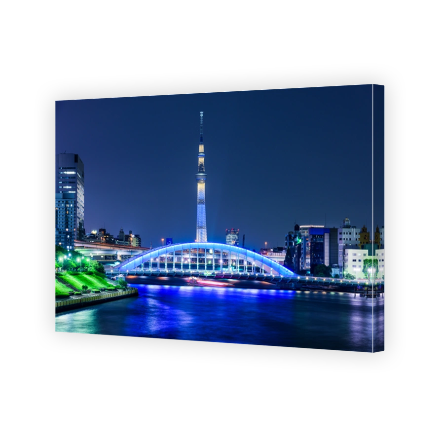 Skytree Skyline in Tokyo