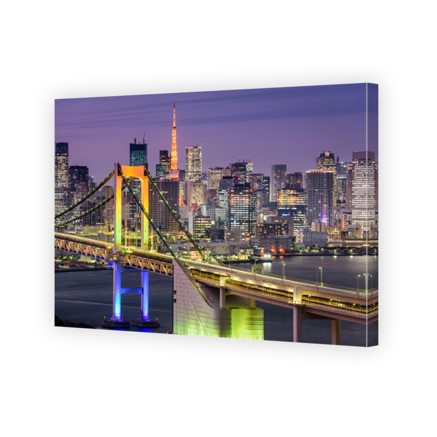 Tokyo, Japan Cityscape