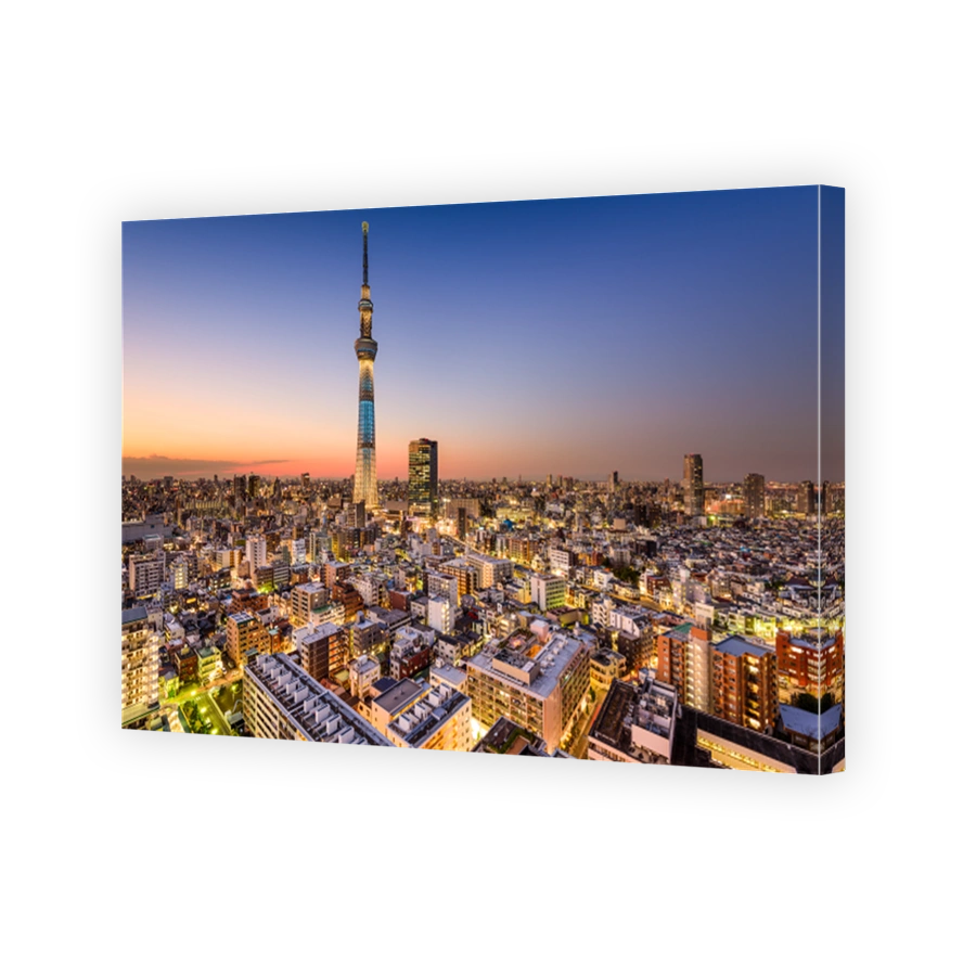 Tokyo Skyline