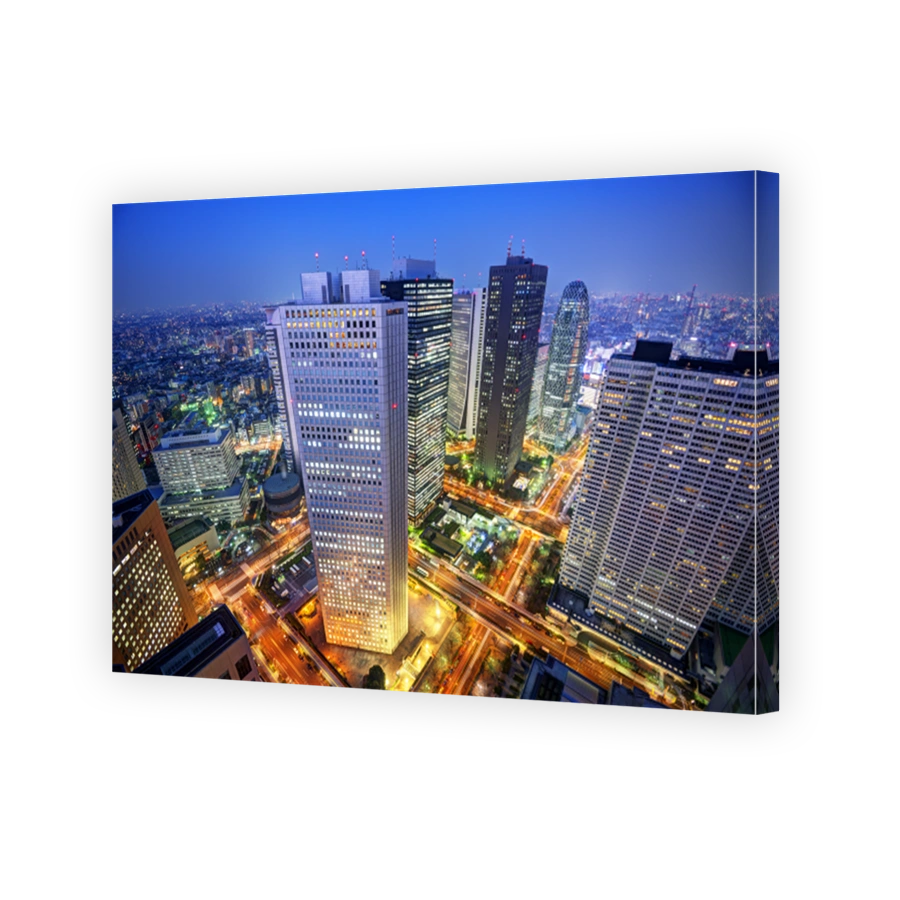 Shinjuku Tokyo Skyline