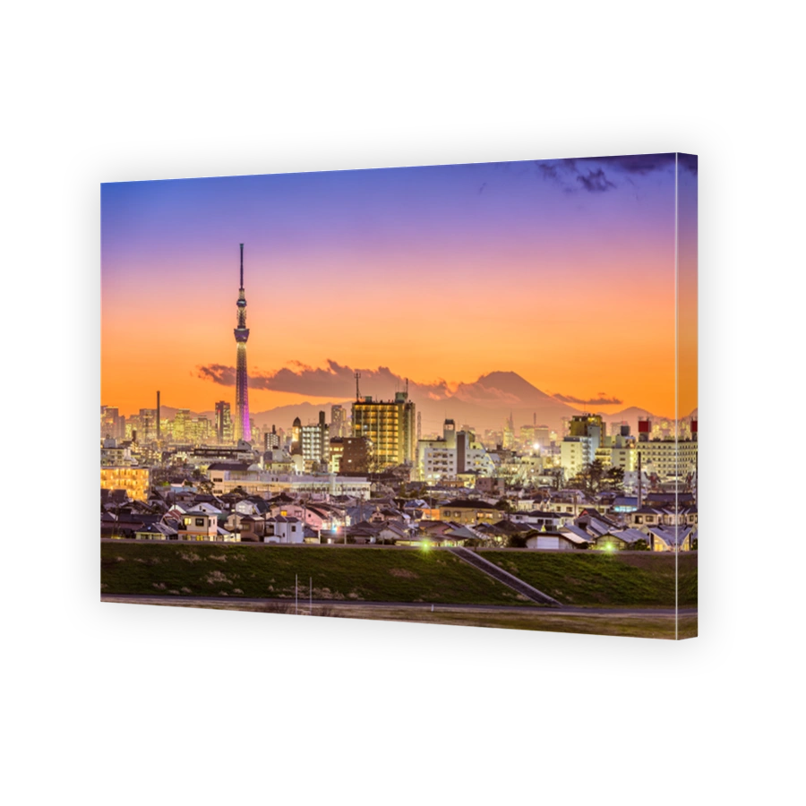 Tokyo Skyline at Dusk
