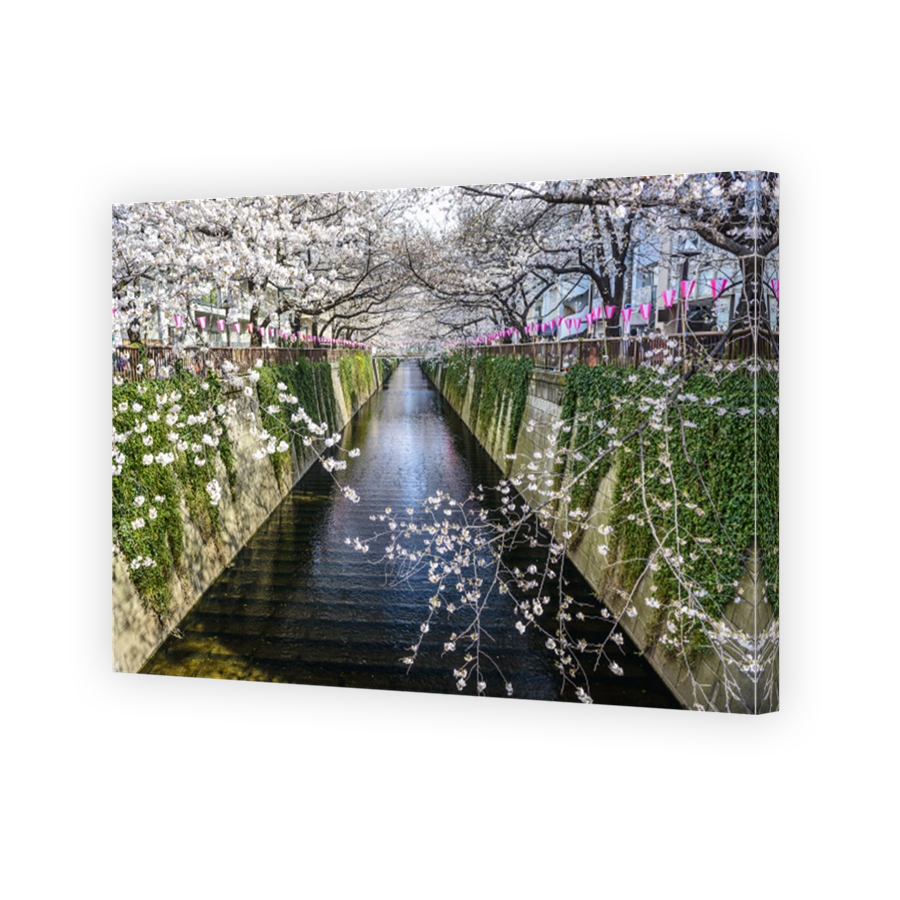 Meguro Canal in Tokyo, Japan