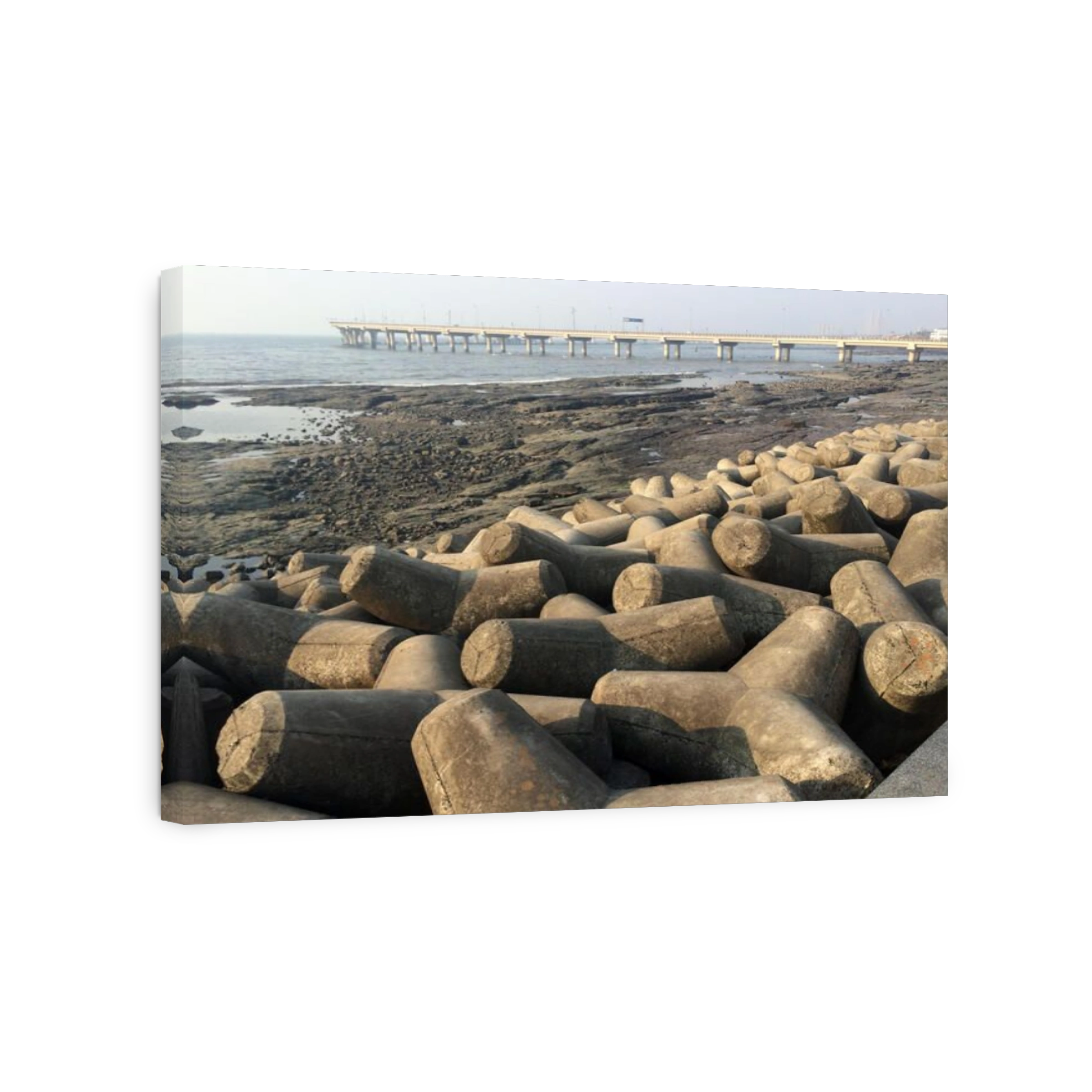 India, Mumbai, Concrete tetrapods on beach and bridge on background