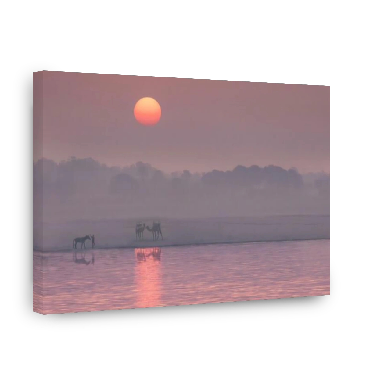 Sunrise over the Ganges River in Varanasi with camels and horse in silhouette, India