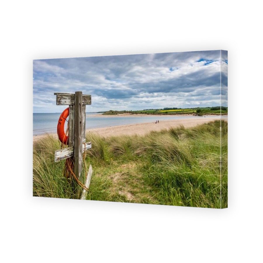 A lifebuoy at Alnmouth beach in Northumberland, standing guard on the dunes, looking out to sea.