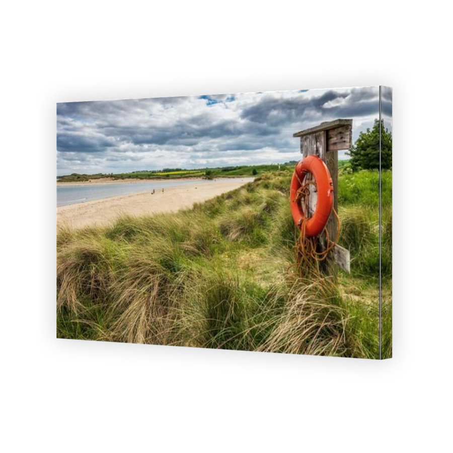 A lifebuoy at Alnmouth beach in Northumberland, standing guard on the dunes, looking out to sea.