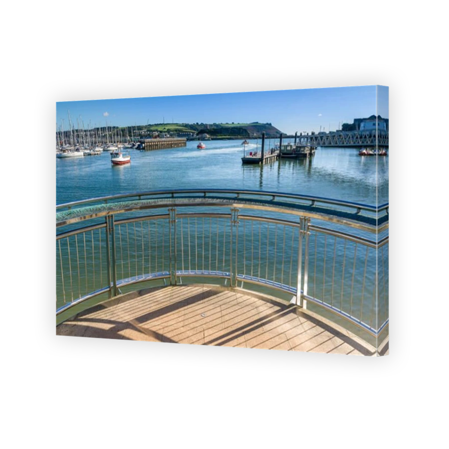 Plymouth Mayflower Steps