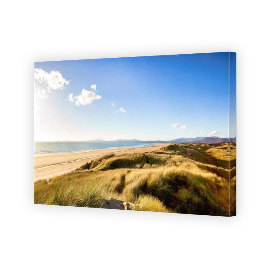 Harlech Beach and Sand Dunes in late afternoon, Gwynedd, Wales, UK
