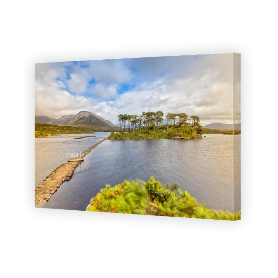 Pine Island in Derryclare Lough in the Connemara National Park,  Ireland