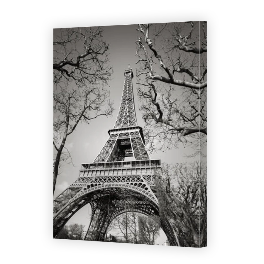 Black and White vertical view of the Eiffel Tower through tree branches on the Champs de Mars, Paris, France