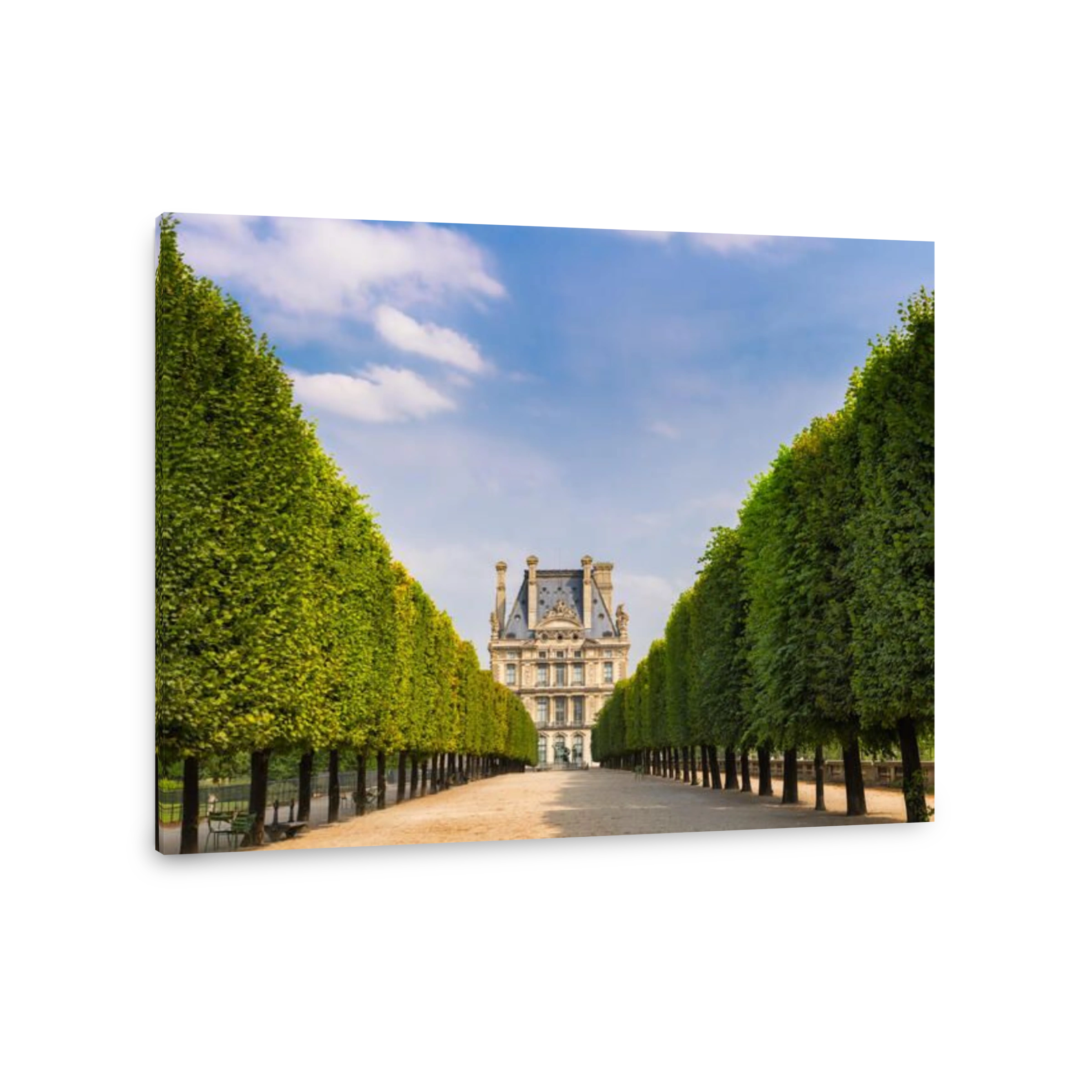 Tuilleries Garden tree-lined vista leading to Louvre Museum. Summer view of the Terrasse du Bord de l'Eau in Paris, France