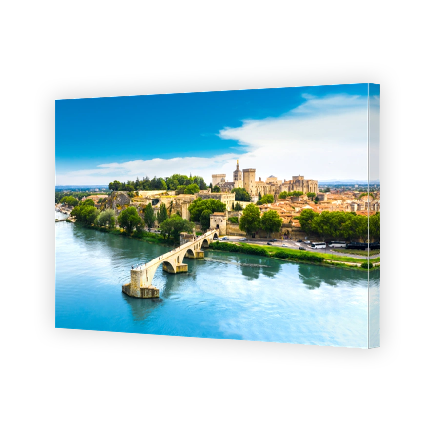 Saint Benezet bridge in Avignon in a beautiful summer day, France
