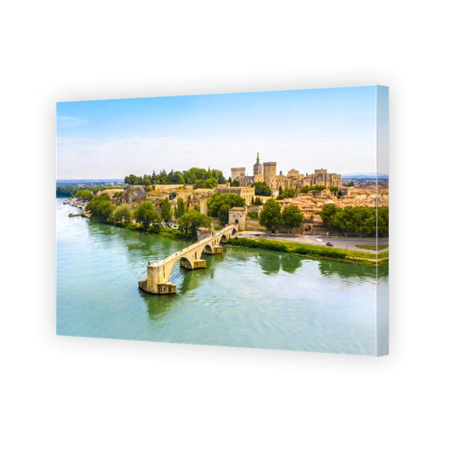 Saint Benezet bridge in Avignon in a beautiful summer day, France