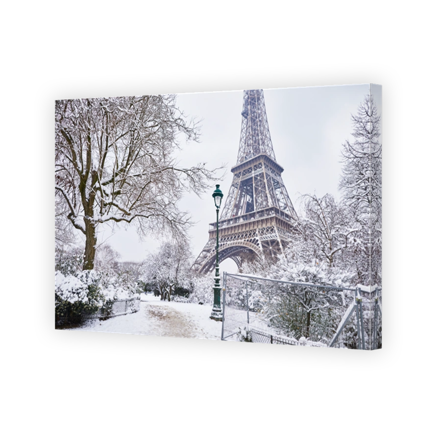 Scenic view of Eiffel tower on snowy day
