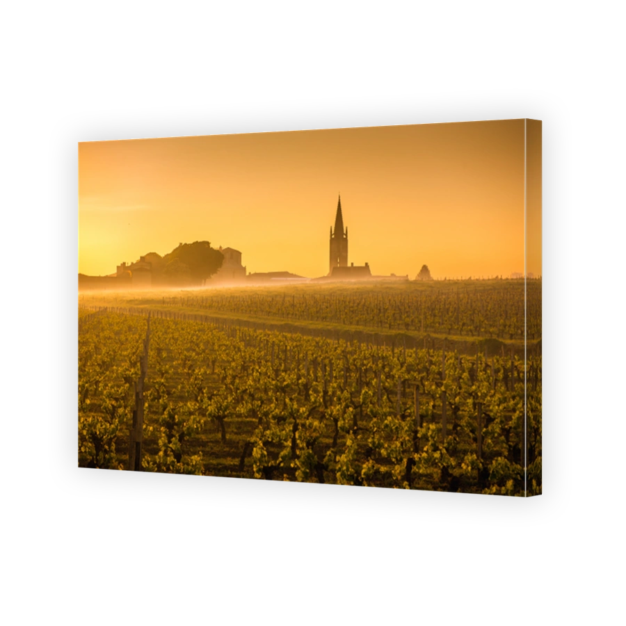 Saint Emilion Sunrise, Bordeaux vineyard, France