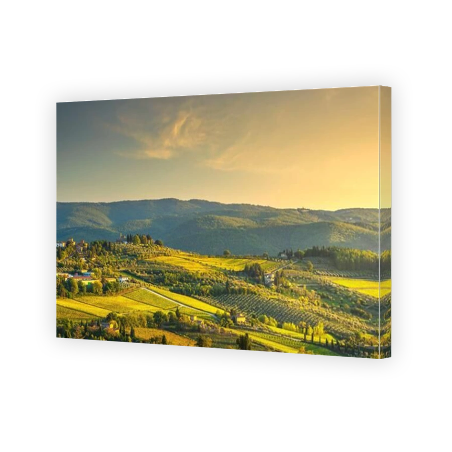Panzano in Chianti vineyard and panorama at sunset in autumn. Tuscany, Italy Europe.