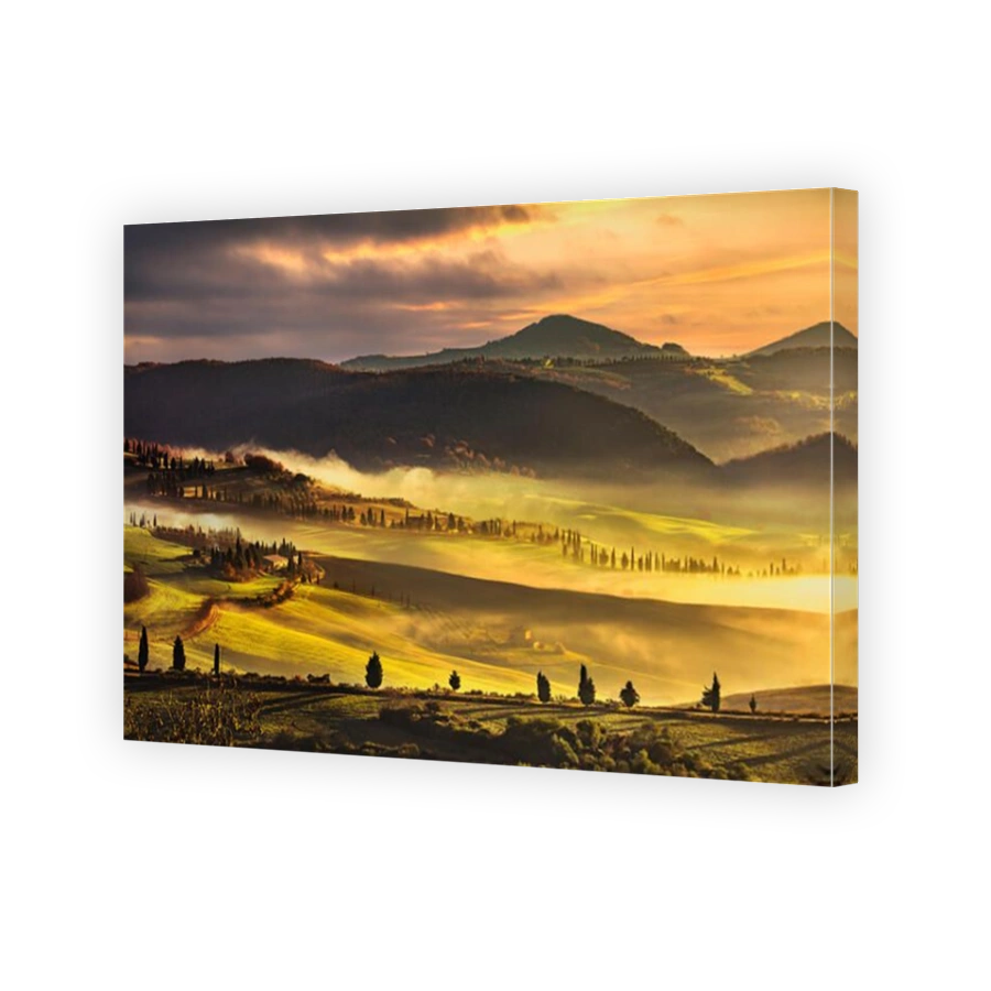Tuscany foggy morning, farmland and cypress trees country landscape. Pienza, Italy, Europe.