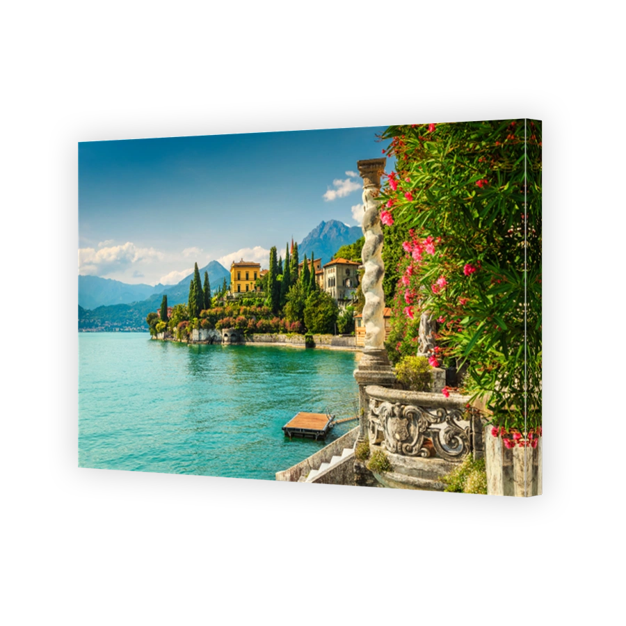 Oleander flowers and villa Monastero in background, lake Como, Varenna
