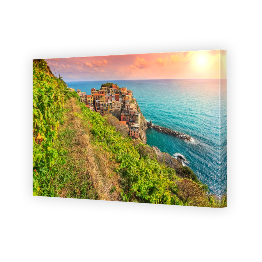 Beautiful vineyard and old town of Manarola,Italy,Europe