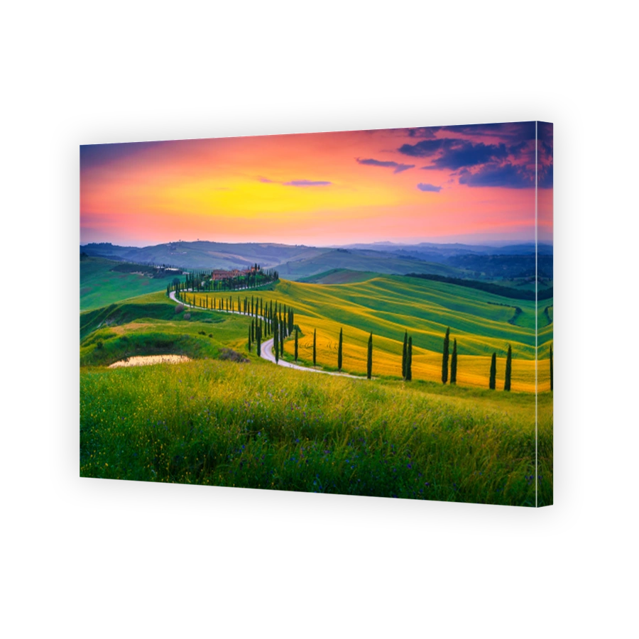 Summer Tuscany landscape at sunset with curved rural road, Italy