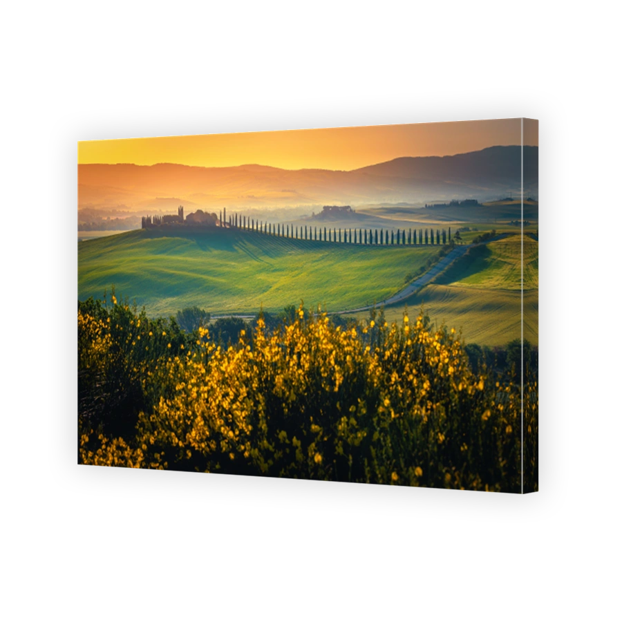 Picturesque green fields and yellow flowers at sunrise, Tuscany, Italy