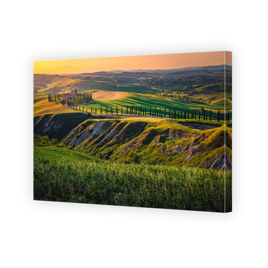 Rural road and agricultural lands at sunset, Tuscany, Italy