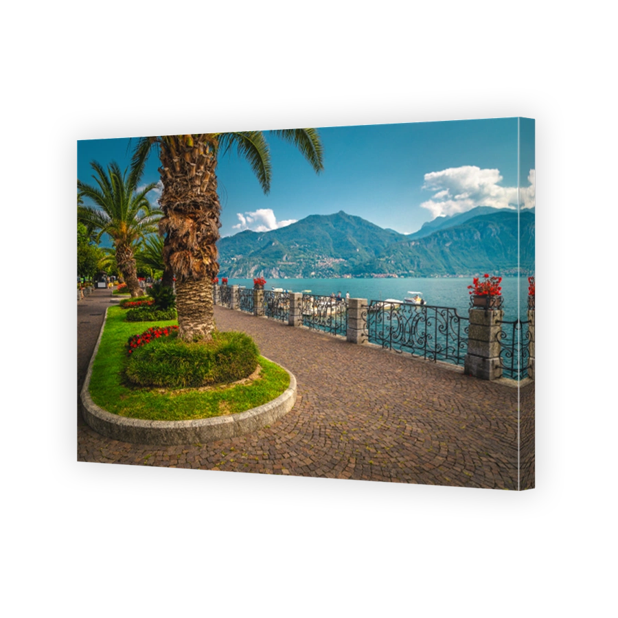Palm trees and flowery decoration on the walkway, Menaggio, Italy