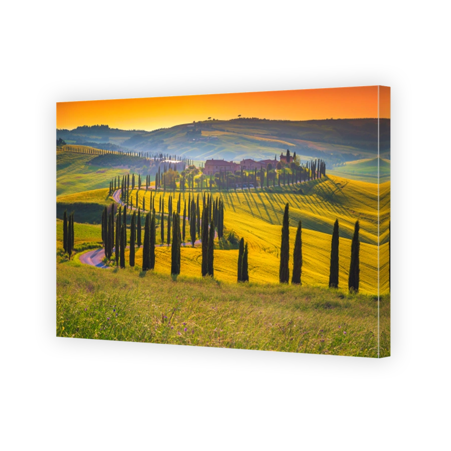Winding rural road in the grain fields at sunset, Tuscany