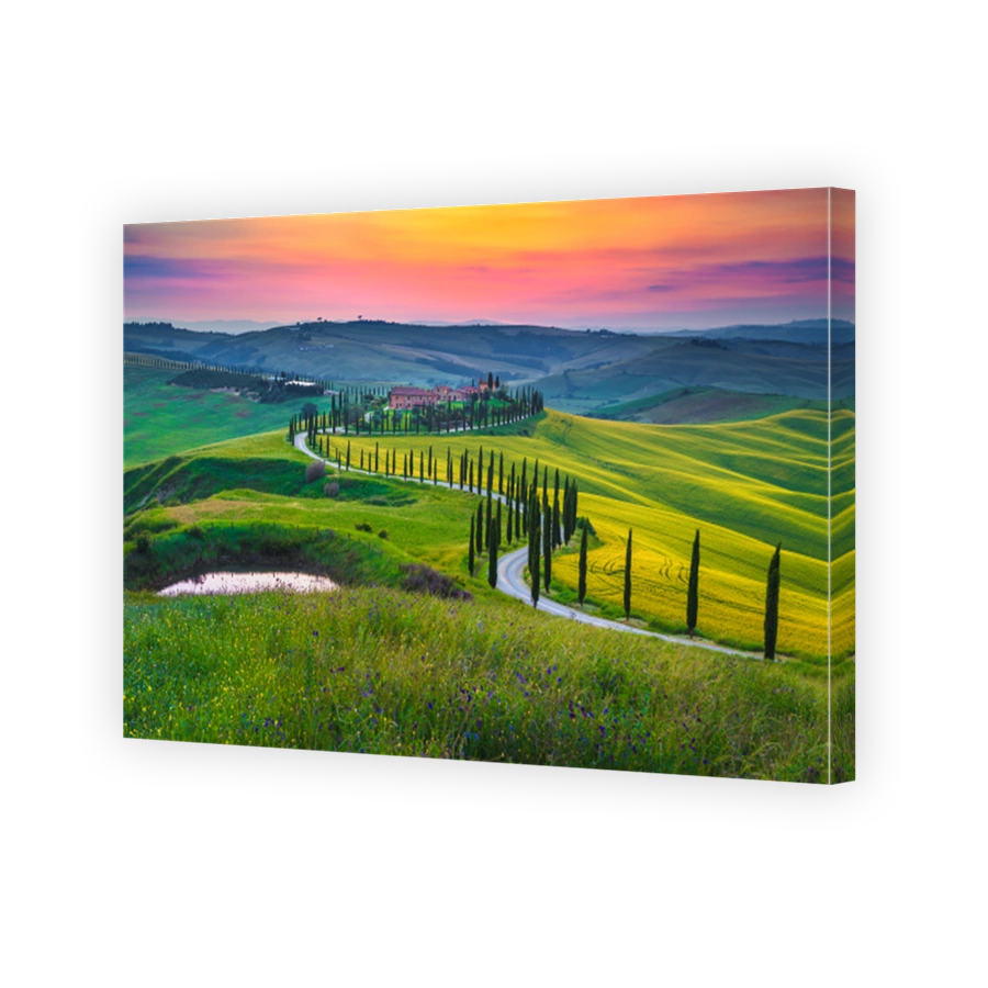 Tuscany rural scenery with grain fields at sunset, Asciano, Italy