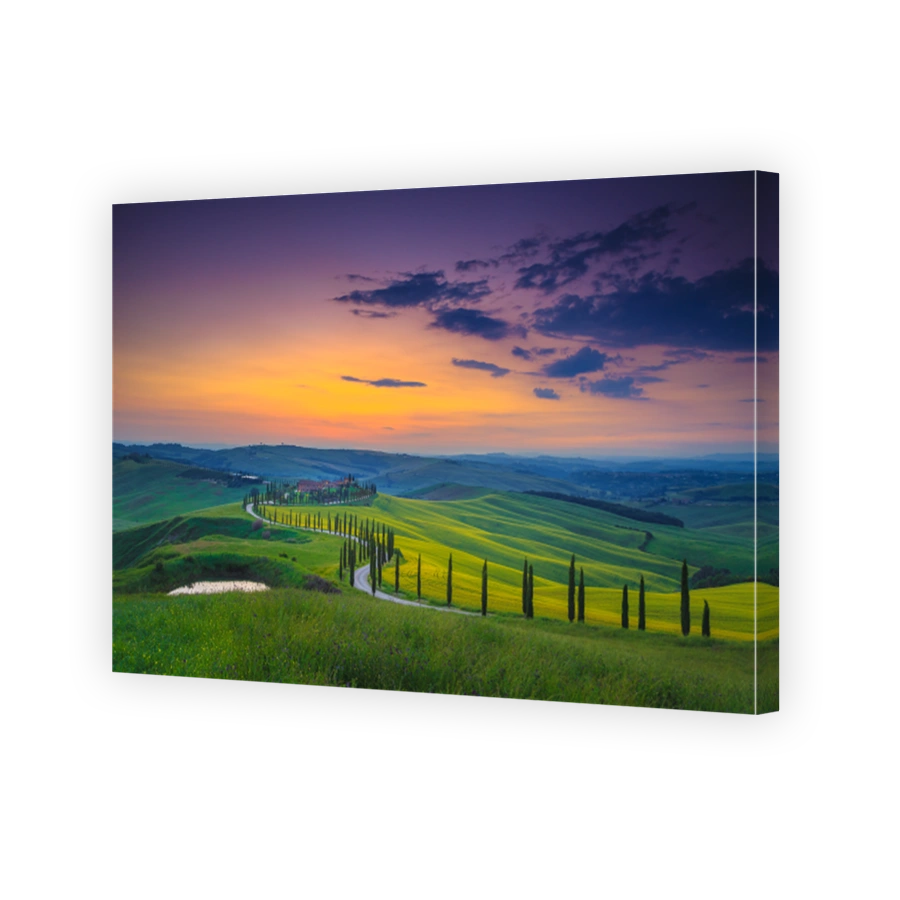Tuscany countryside scenery with green grain fields at sunset, Italy