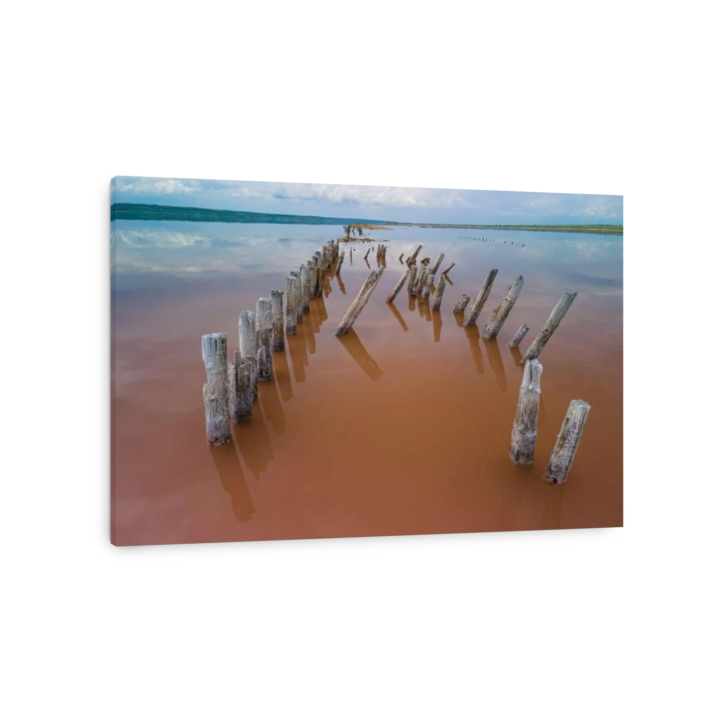 Salt water estuary near Kuyalnik, Ukraine. Popular landmark with pink salt water