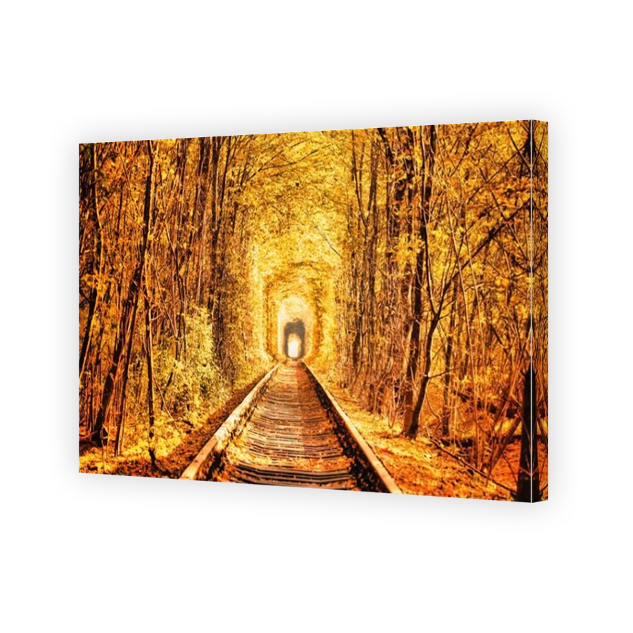 Autumn tunnel of love. The railway runs through a dense forest. A great place for romantic walks and photo sessions. The city of Kevan, Ukraine.