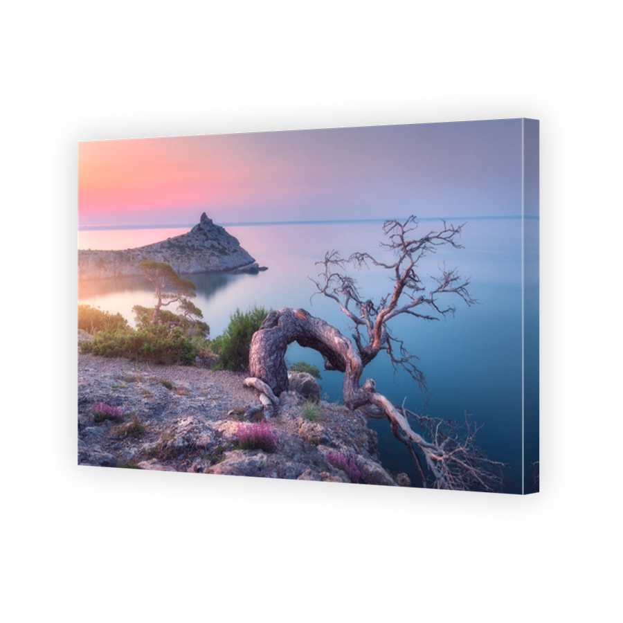 Amazing old tree growing out of the rock at sunrise. Colorful landscape with tree, mountain, sea and blue sky in the morning. Summer in mountains at dusk. Travel. Nature background. Beautiful coast