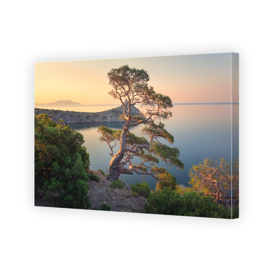 Amazing tree on the mountain at sunrise. Colorful landscape with old tree with green leaves, blue sea, rocks and yellow sky in the morning. Summer forest. Travel in Crimea. Nature background