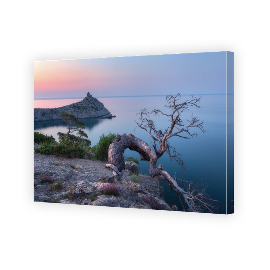 Amazing old tree growing out of the rock at sunrise. Colorful landscape with tree, mountain, sea and blue sky in the morning. Summer in mountains at dusk. Travel. Nature background. Beautiful coast