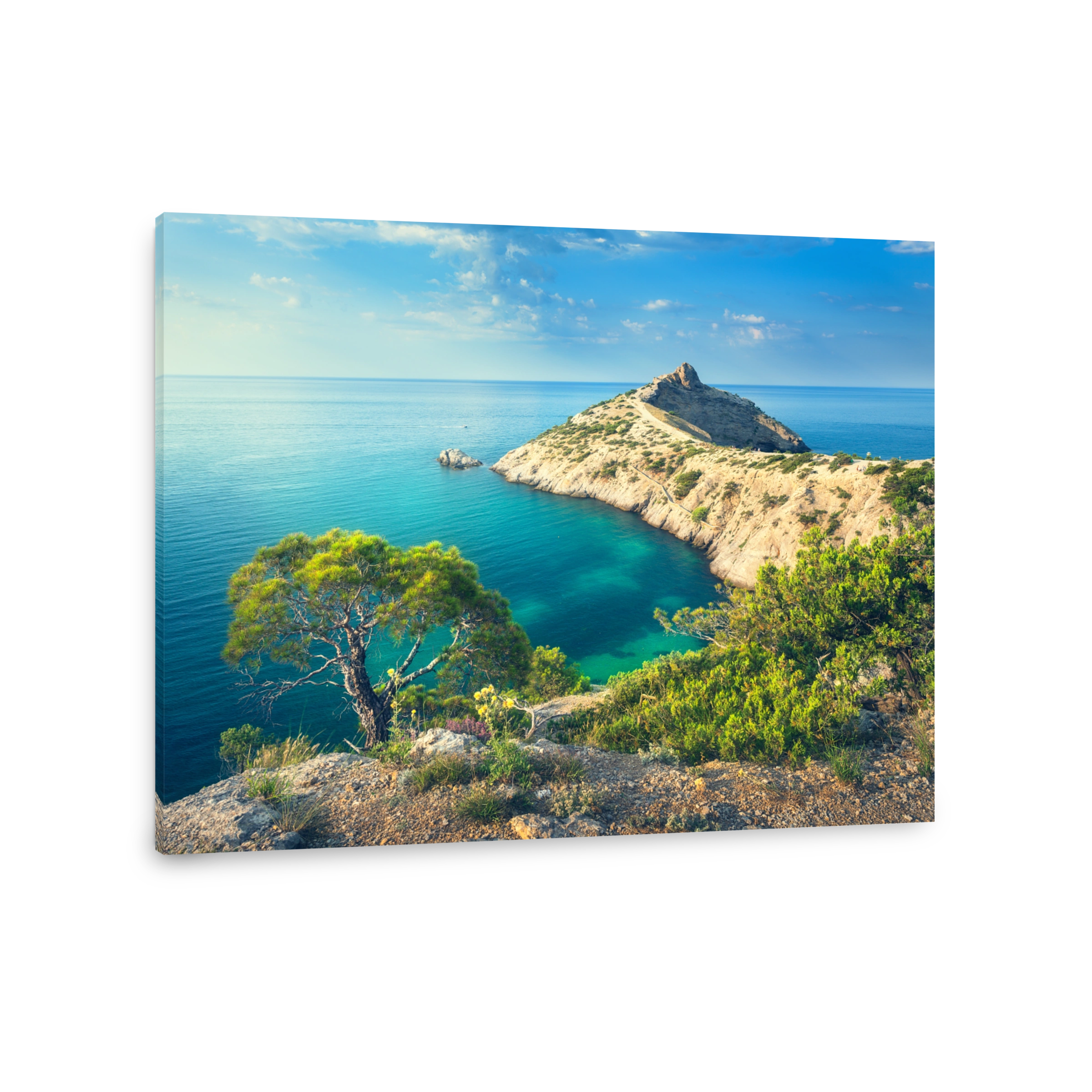 Summer landscape in mountains on seashore. Amazing view on the green tree, mountains, sea with turquoise water and colorful blue sky at sunrise. Travel in Europe. Nature background. Seascape