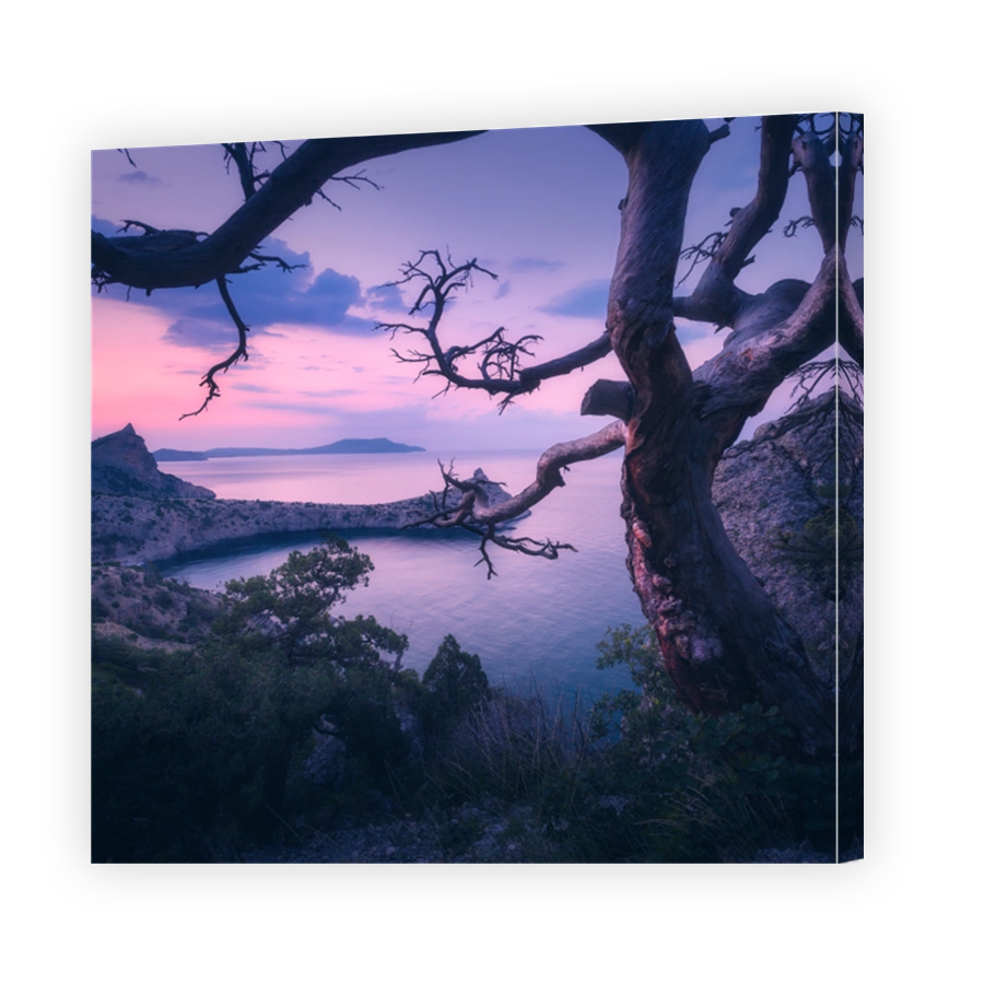 Amazing old tree in crimean mountains at sunrise. Colorful landscape with tree, rock, sea and purple sky in the morning. Summer forest in mountains at dusk. Travel. Nature background. Beautiful coast