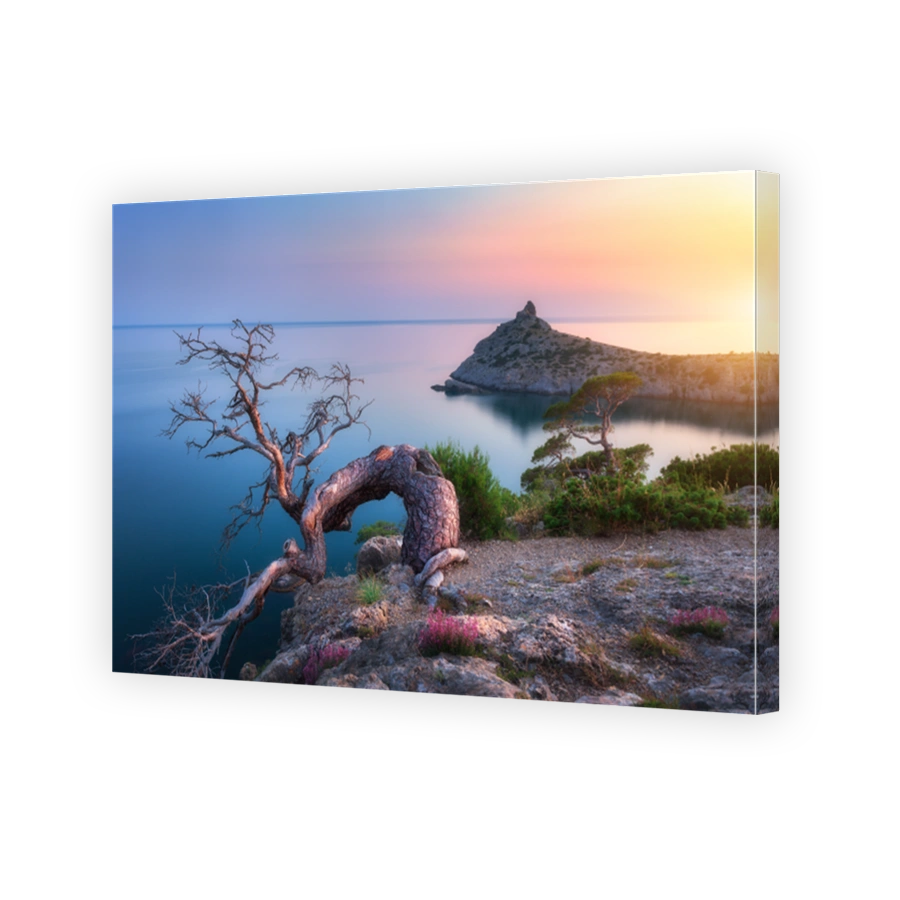 Amazing old tree growing out of the rock at sunrise. Colorful landscape with tree, mountain, sea and blue sky in the morning. Summer in mountains at dusk. Travel. Nature background. Beautiful coast