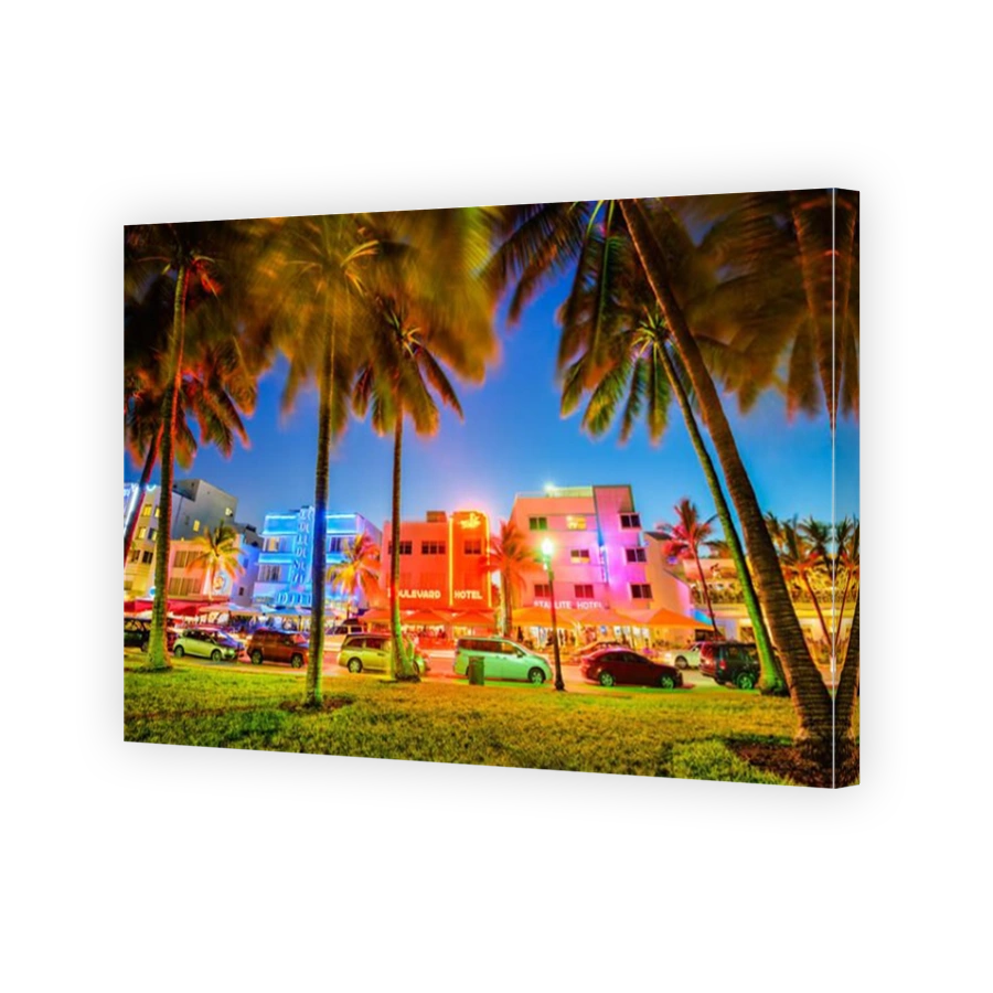 MIAMI, FLORIDA - JULY 5, 2016: Palm trees line Ocean Drive. The road is the main thoroughfare through South Beach.