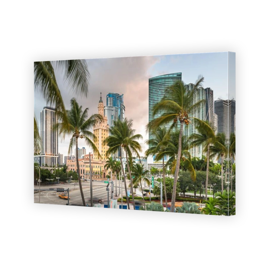 Miami, Florida, USA cityscape in the morning with palm trees.
