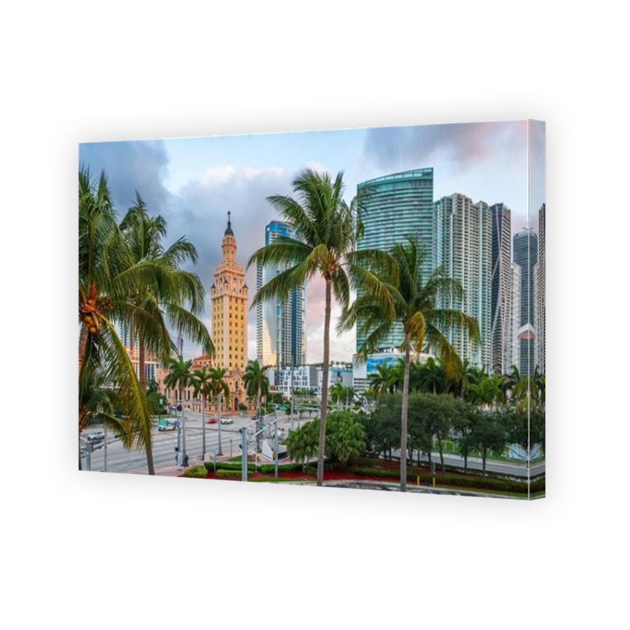 Miami, Florida, USA cityscape in the morning through palm trees.