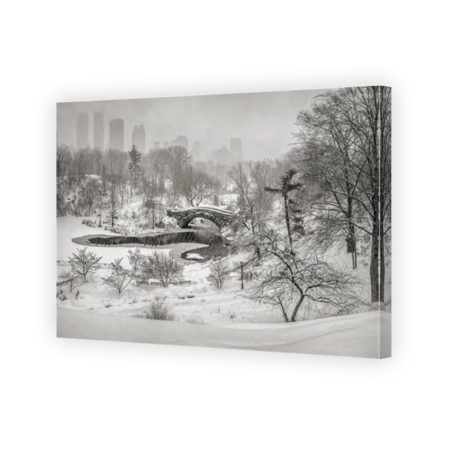 Winter snow storm in Central Park with view on the Gapstow Bridge and the frozen Pond. Manhattan, New York City