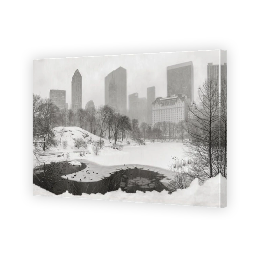Frozen pond and heavy snowfall in Central Park with a panoramic view of Manhattan skyscrapers. Midtown, New York City (B&W)