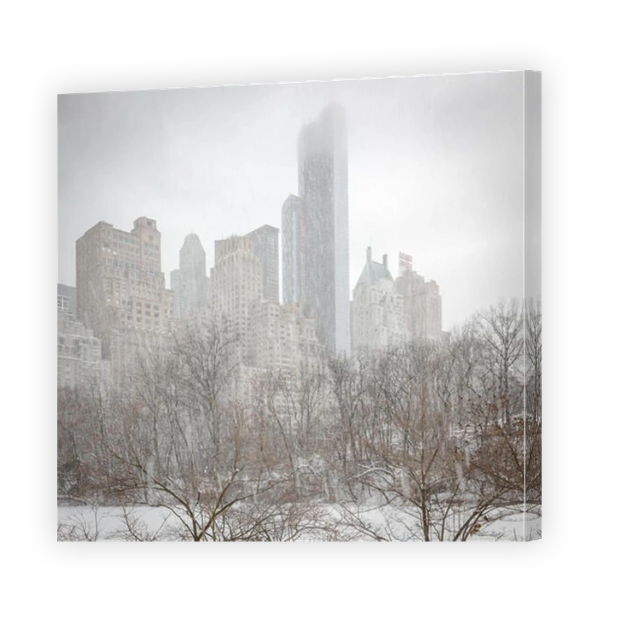 Snowstorm in Central Park near The Pond with Midtown skyscrapers and low clouds. New York City