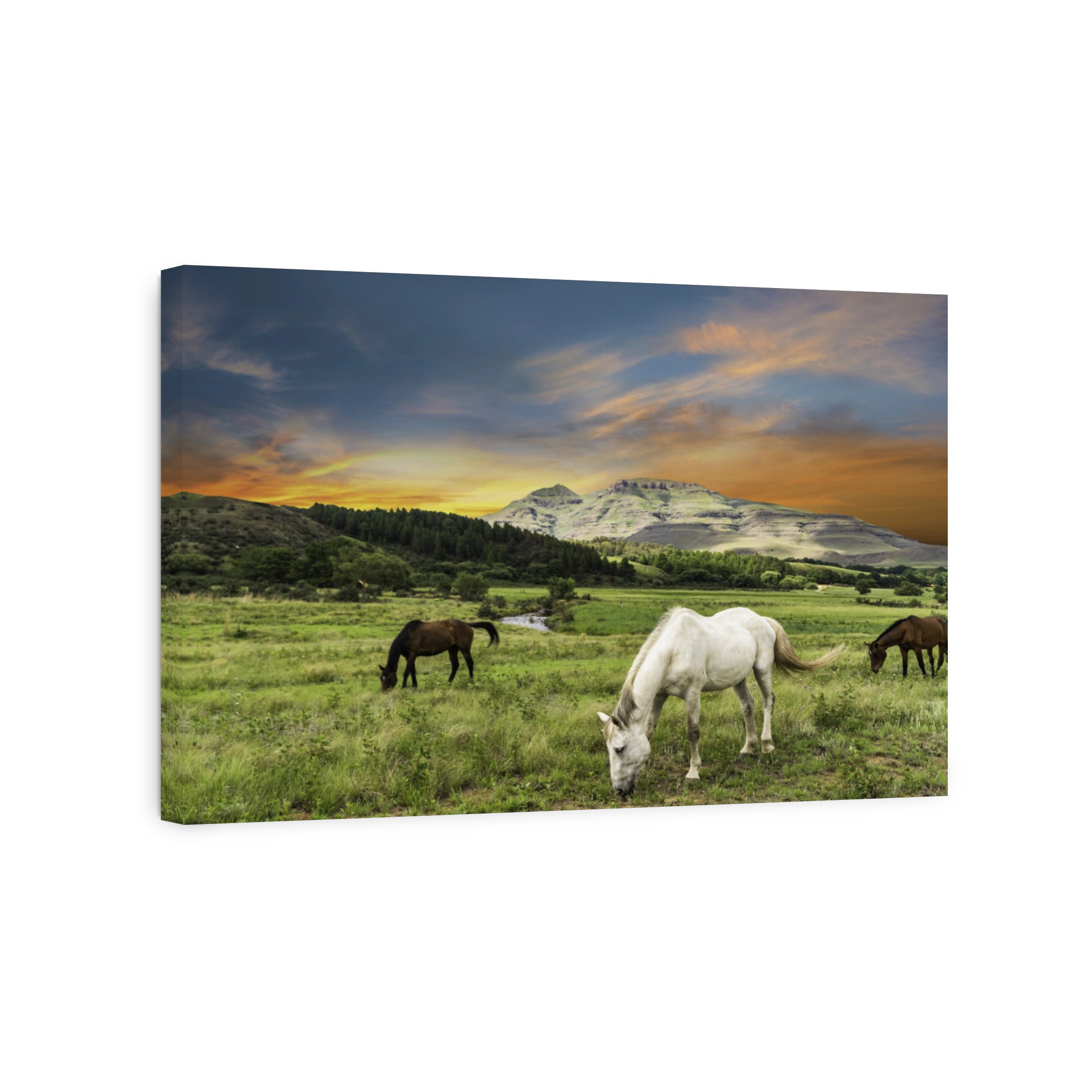 Horses grazing in Drakensberg valley