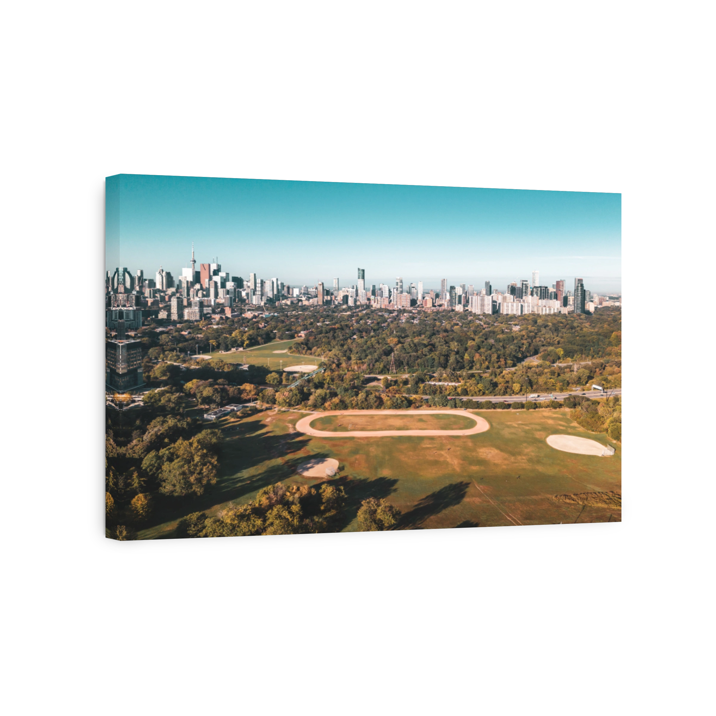 Toronto skyline with park and baseball fields.