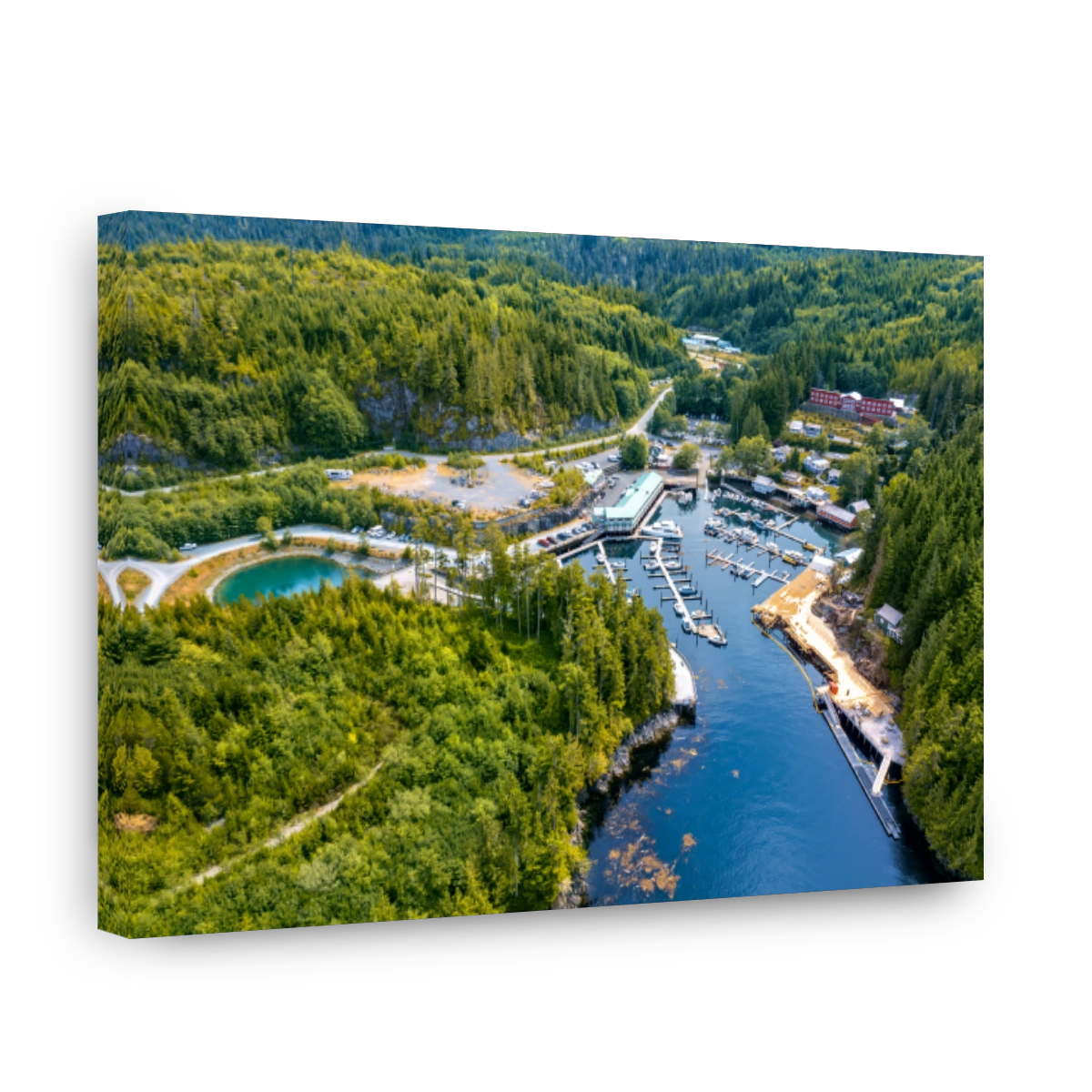 Aerial View of Marina and Forest
