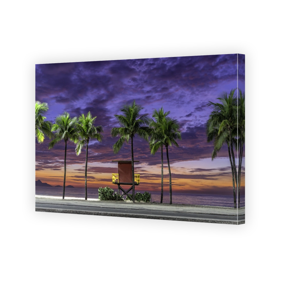 Palm trees on Copacabana Beach before sunset in Rio de Janeiro, Brazil. Colorful sky