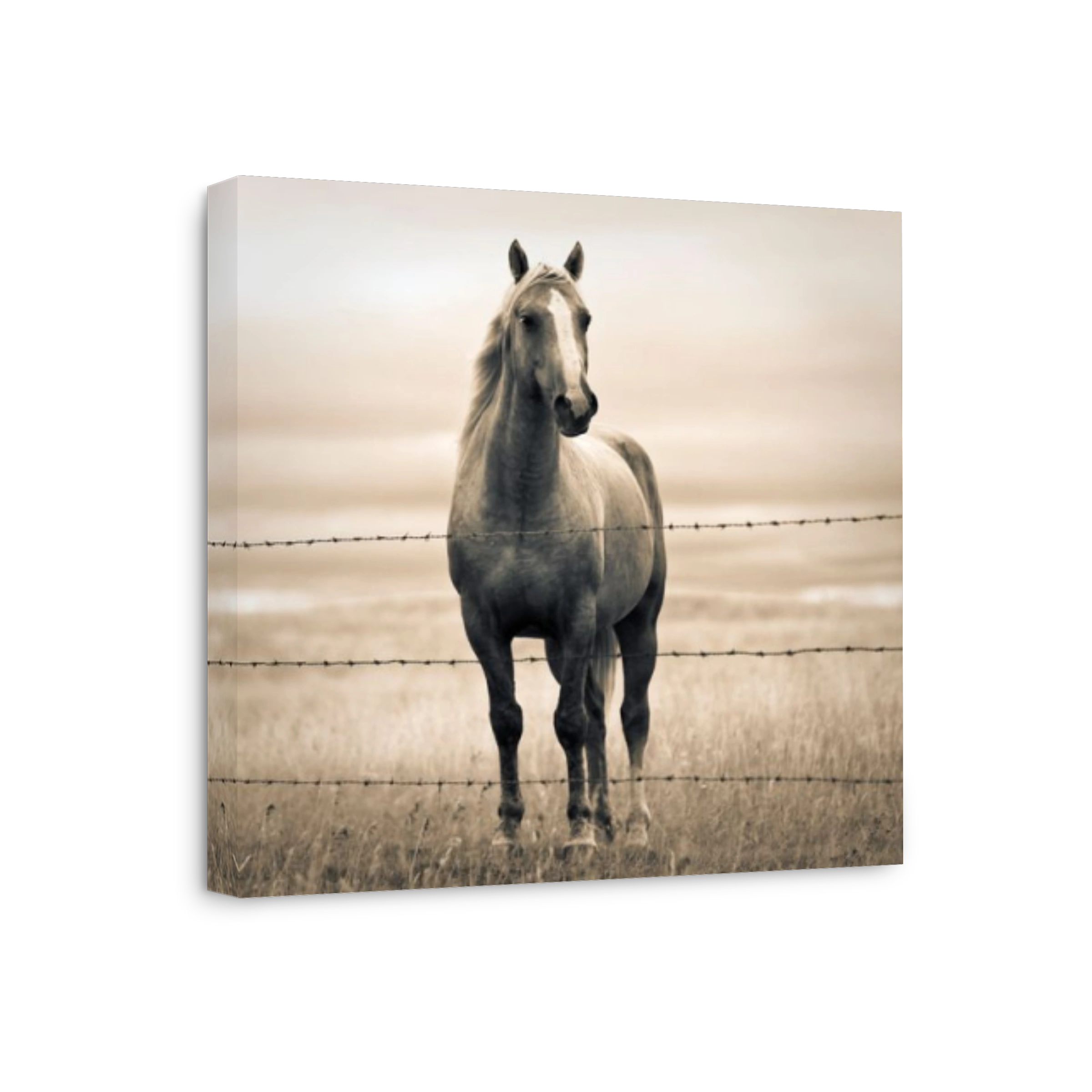 Portrait of a horse on the Canadian Prairie, Big Muddy Badlands, Saskatchewan, Canada.